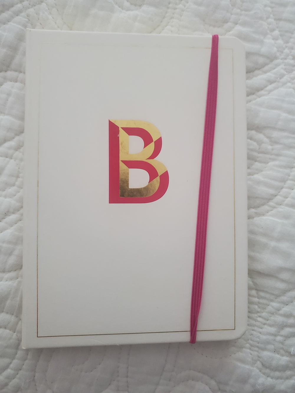 Opalhouse Cream Journal with Pink Elastic and Gold Monogram Accent